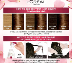 L'Oreal Excl Light Golden Brown 5.3 Hair Color